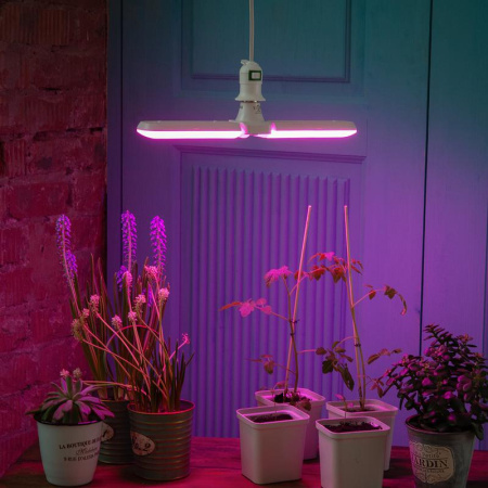 Лампа светодиодная LED-P65-16W/SPSB/E27/FR/P2 PLP32WH 16Вт P65 лепестковая матовая E27 для растений спектр для рассады и цветения (упак. картон)  UL-00007406
