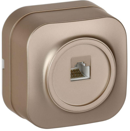 Розетка компьютерная ОП RJ45 кат.5E GLORY РК10-ХШм шампань матов.  EKH10-K37M