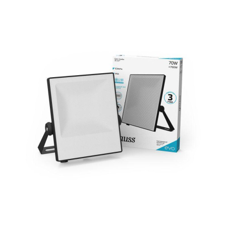 Прожектор светодиодный EVO 70Вт 6500К IP65 6300лм 100-240В ДО черн.  687511370