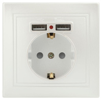 Розетка+USB СП Plano 1-410-06 IP20 перламутр  Б0053947