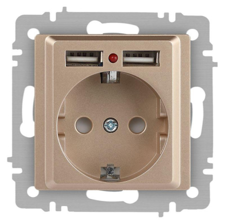 Розетка Accent 6-410-04 P+E Schuko со шторками 16А-250В + 2хUSB IP20 СУ шампань  Б0063696