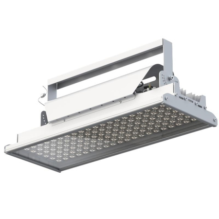 Светильник светодиодный "Эверикс" LED-250-Д120-IP66-У1(1/LIRA/840/RAL7035/TG/AC230/D/Х/G1)  20659