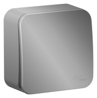 Выключатель 1-кл. ОП Blanca 10А IP20 (сх. 1) с самовозвратом с изолир. пластиной алюм. SE BLNCA101013