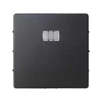 Клавиша для вставки с пиктограммой 82/82Nature графит 82013-38