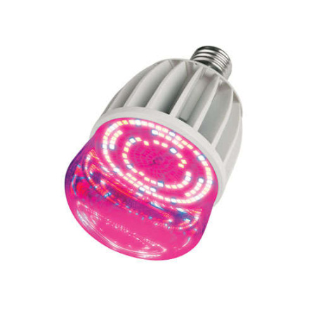 Лампа светодиодная ESL-LED-M80-20W SP E27/CL IP54  11098