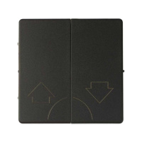 Клавиша двойная для 75396-39 82/82Nature графит 82029-38