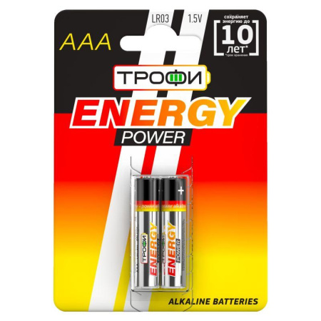 Элемент питания алкалиновый AAA/LR03 LR03-2BL (блист.2шт)  C0034929
