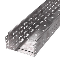 Лоток листовой перфорированный 200х100 L3000 сталь 0.8мм Стандарт  PR16.0010