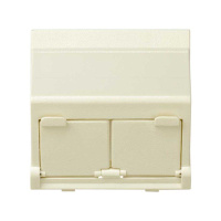 Адаптер на 2 RJ45(12) коннектора наклонный широкий 27 сл. кость 27086-32 Адаптер на 2 RJ45(12) коннектора наклонный широкий 27 сл. кость 27086-32