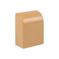 Заглушка 15х10 под свет. дерево Plast PROxima (уп.4шт)  ecl-15-10x4