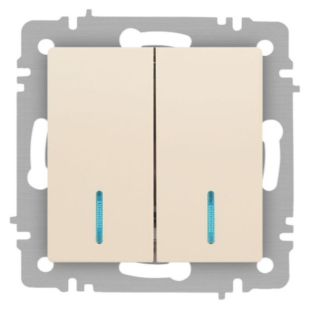 Выключатель Accent 6-105-02 двойн. с подсветкой 10А-250В IP20 СУ AL/CU сл. кость  Б0063509