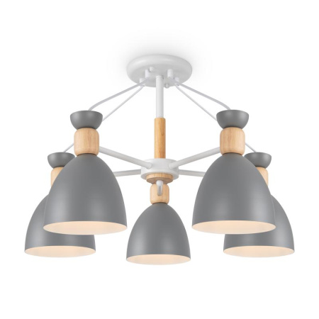 Светильник потолочный Delia Е27х5 60Вт IP20  FR5033CL-05W