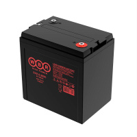 Аккумулятор тяговый 6В 265А.ч  EVX6-265C 