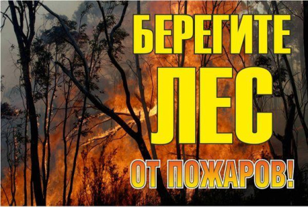 Знак "Берегите лес от огня!" 1200х800мм  zn-1-02