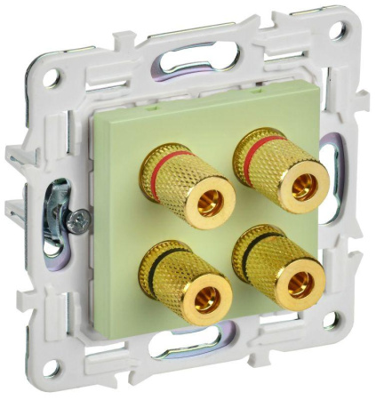 Аудиорозетка 4-м SKANDY SK-A01G мятный  SK-S40-K06