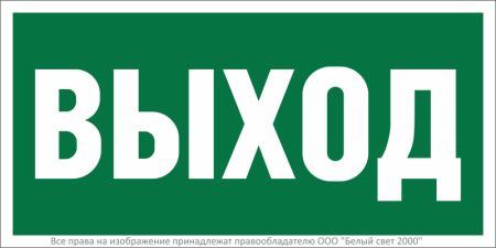 Знак безопасности BL-2010B.E22 "Выход"  a15041