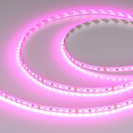 Лента светодиодная RT-A120-8mm 24В Magenta (9.6Вт/м IP20 2835) (уп.5м)  043381