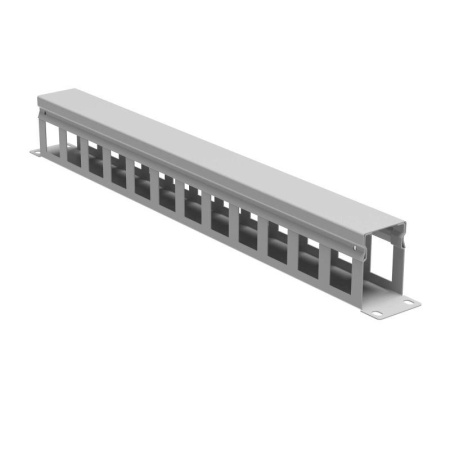 Органайзер кабельный 19дюйм с крышкой 1U глубина 60 мм RAL7035  R5CP1961HE