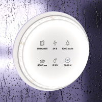 Лента светодиодная 24В 2835 9.6Вт/м 6000К IP65 (уп.5м)  10147