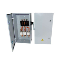 Ящик силовой ЯВ3-32 IP54 250А с ПН-2 80А 