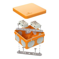 Коробка огнестойкая ОП двухкомпонентная 60-0210-FR6.0-4-4-Р Е15-Е60 80х80х40  60-0210-FR6.0-4-4-Р Коробка огнестойкая ОП двухкомпонентная 60-0210-FR6.0-4-4-Р Е15-Е60 80х80х40  60-0210-FR6.0-4-4-Р