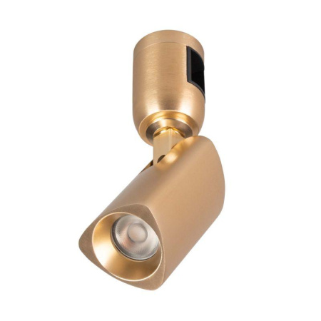 Светильник светодиодный ART-APRIORI-SPOT-TURN-R45-8W Warm3000 (GD 36 deg 48В) IP20 металл  039287