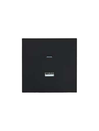 Розетка Type-C+ USB разъем СП ZIMA IP20 черн. бархат  704-4288-192TC