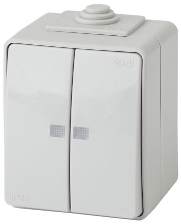 Выключатель 2-кл. ОП  Эксперт 10А IP65 11-1605-03 250В 10AX с подсветкой сер.  Б0035977