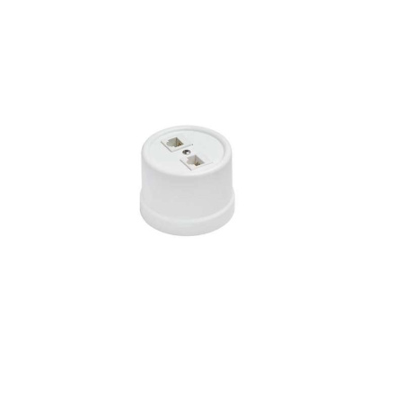 Розетка компьютерная 2-м ОП Лизетта RJ45 10А IP20 ретро кат.5E ABS-пластик бел.  B1-302-21