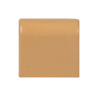 Заглушка 40х25 под свет. дерево Plast PROxima (уп.4шт)  ecl-40-25x4