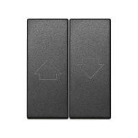 Клавиша двойная для 75396-69 82 Centralizations графит 82029-58