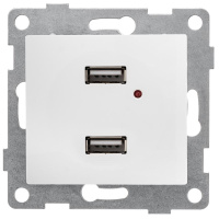 Механизм розетки USB 2-местн. СП Bravo жемчуж.  С10USB2-028