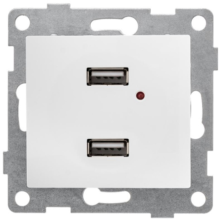 Механизм розетки USB 2-местн. СП Bravo жемчуж.  С10USB2-028