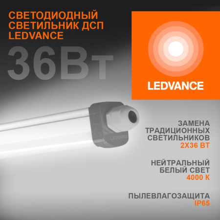 Светильник светодиодный Eco Class Damp Proof Slim 36Вт 4000К IP65 3700лм 1.2м ДСП промышленный накладной/подвесной сер. (аналог ЛСП)  4058075169128