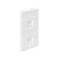 Адаптер на 2 RJ45 коннектора защ. шторки бел. Connect S76B-9