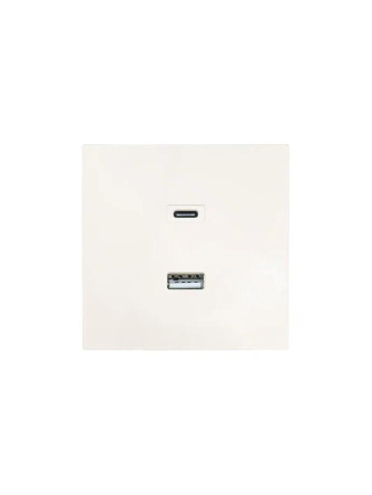 Розетка Type-C+ USB разъем СП ZIMA IP20 слон. кость  704-9088-192TC