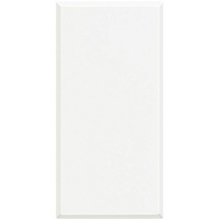 Заглушка 1мод. Axolute бел. Leg BTC HD4950