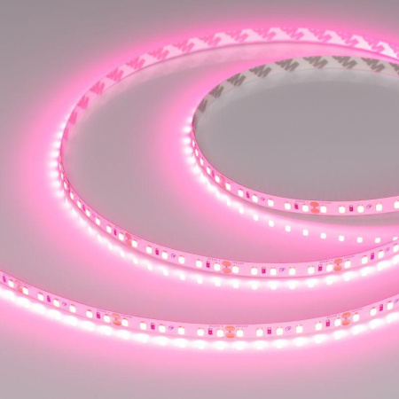 Лента светодиодная RT-A120-8mm 24В Pink (9.6Вт/м IP20 2835) (уп.5м)  043380