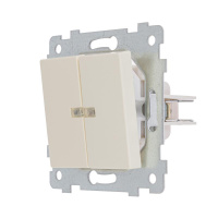 Выключатель 2-кл. СП Аксиома С510-450 10А IP20 с индикацией механизм сл. кость Кунцево 122010