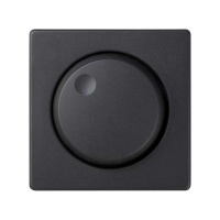 Накладка светорег. 82 графит 82054-38