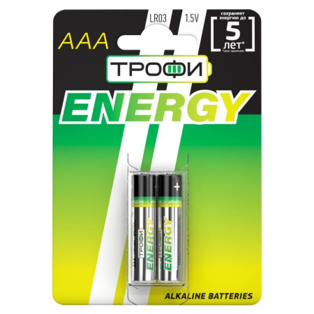 Элемент питания алкалиновый AAA/LR03 LR03-2BL Eco (блист.2шт)  Б0017043