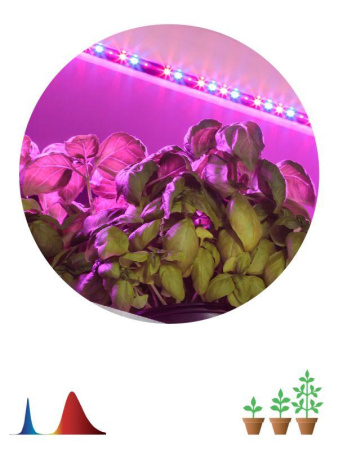 Лента светодиодная FITO-Strip Light-RB-2m 2м для растений красн./син. спектр IP65  Б0057282