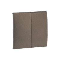 Панель лицевая Валенсия для выключателя 2-кл. 10А графит PROxima  ESV10-L-023-60