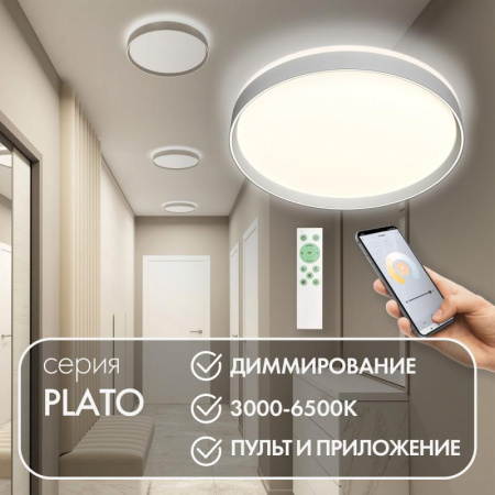 Светильник накладной со встроенным светодиодом 50Вт IP20 3000К-6500К управление пульт Д/У (в комплекте) и Wi-Fi 2.4Ггц эко система Smart Life Яндекс Алиса бел. металл полимер  DK6511-WH