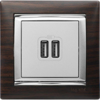 Розетка USB 2-м СП Valena алюм. Leg 770270