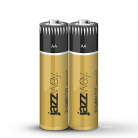 Элемент питания алкалиновый AA/LR6 1.5В Premium Alkaline BL-2 (блист.2шт)  5026896