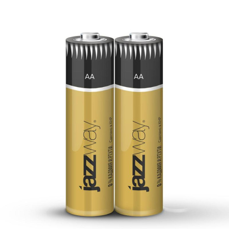 Элемент питания алкалиновый AA/LR6 1.5В Premium Alkaline BL-2 (блист.2шт)  5026896