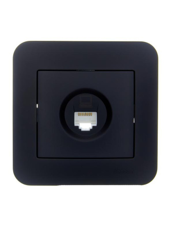 Розетка компьютерная 1-м СП ASTI IP20 RJ45 в сборе Cat 5e черн. бархат  7081-4242-139