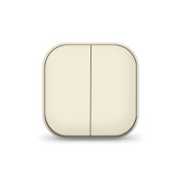 Выключатель 2-кл. 1п ОП 10А IP20 сл. кость  1425