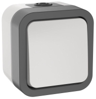 Выключатель кнопочный 1-кл. ОП TORS 10А IP55 TS210 бел.  TS-V14-0-10-55-K41